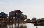 exhibition riverscapes in flux