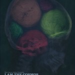 i am the cosmos