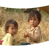 5th-European-Vietnamese-Documentary-Film-Festival feature
