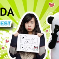 Photo Contest I Love Panda 1