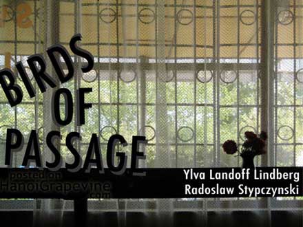 Birds of Passage