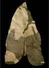 binh-danh3-98