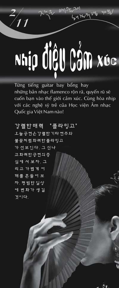 flamenco night