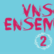 VNSO ensemble II
