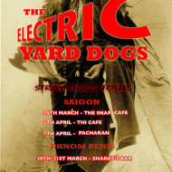 Stray Dogs Tour