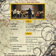 Concert by VNAM
