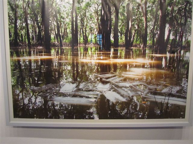 riverscape in flux 5