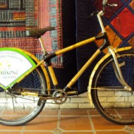 Bamboo Bike