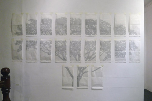 Johanna Calle exhibition  5