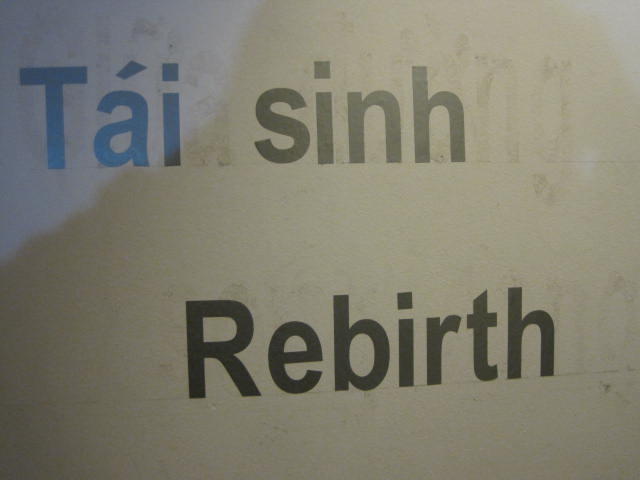 Exhibition Rebirth 5289