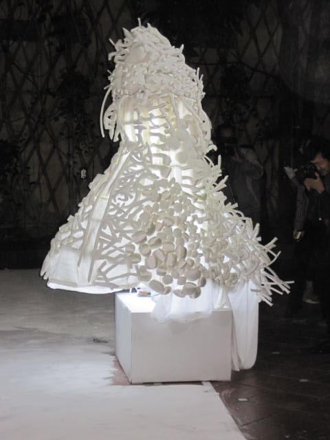 Lai Dieu Ha-CLINGING HYBRID 2