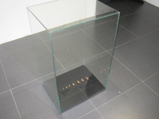 San Art 5337