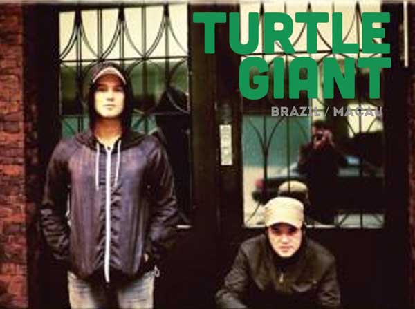 Turtle-giant