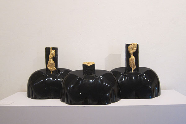 Soil-tran anh son 6