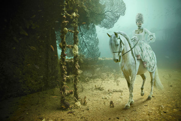 Andreas-Franke---Austria