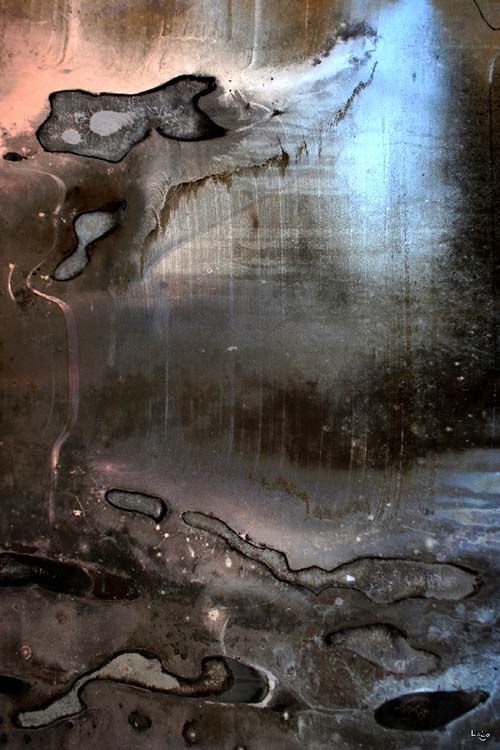LE LOUP ET LA LUNE 90x60
