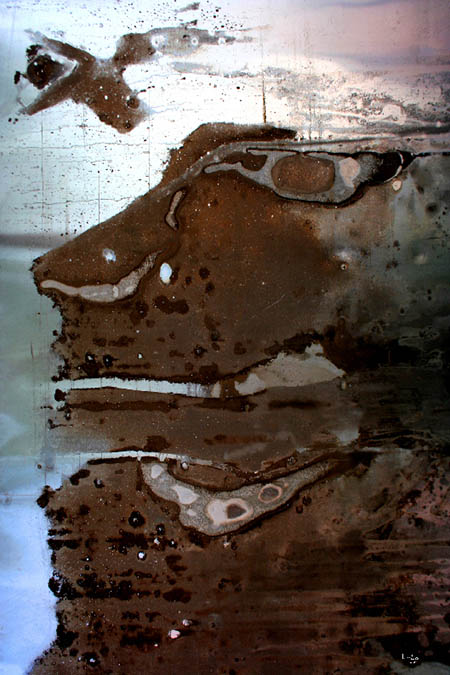 LHOMME ET LOISEAU 90x60