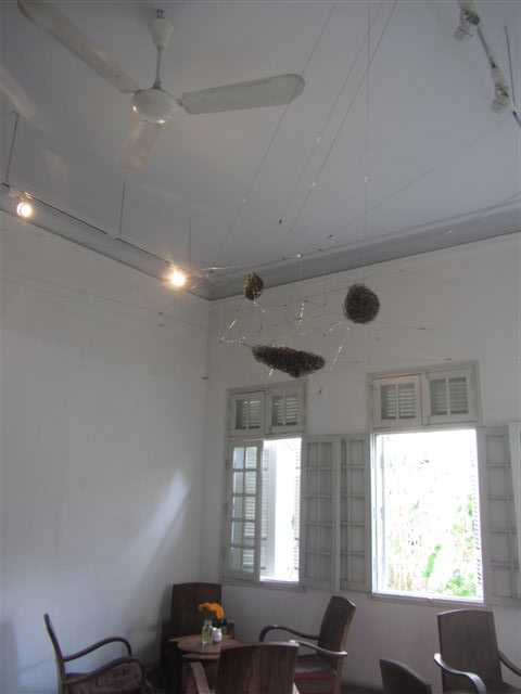 Copy of IMG_1998