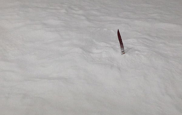  Robert Zhao Renhui - Eskimo Wolf Trap often quoted in Sermons  2013 Mixed media  installation with knife, bicarbonate soda, and diasec  Dimensions variable Edition 2 of 3  Collection of the Artist