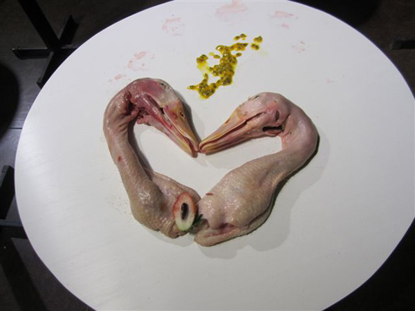 duckhead plate