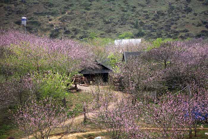 Tet of Thai - Mai Chau Ecolodge 2