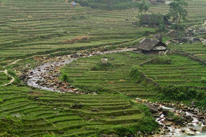 Black Hmong market 3