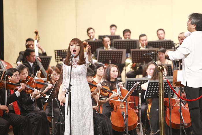 Toyota Concert Tour 2015 5