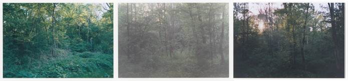 Inga Kerber-cliche of woods