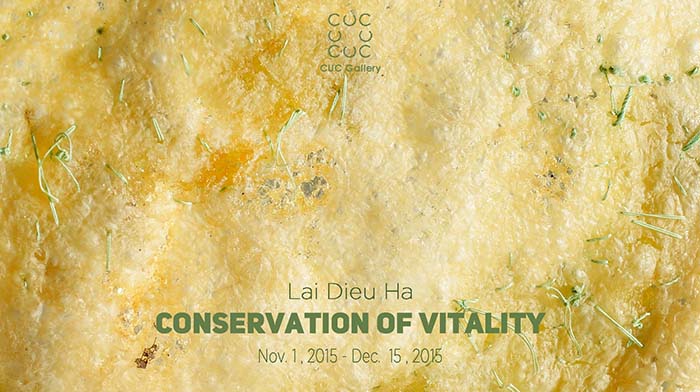 Exhibition Conservation of Vitality by Lai Dieu Ha