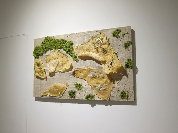 Conservation of Vitality-Lai Dieu Ha-ilza-06