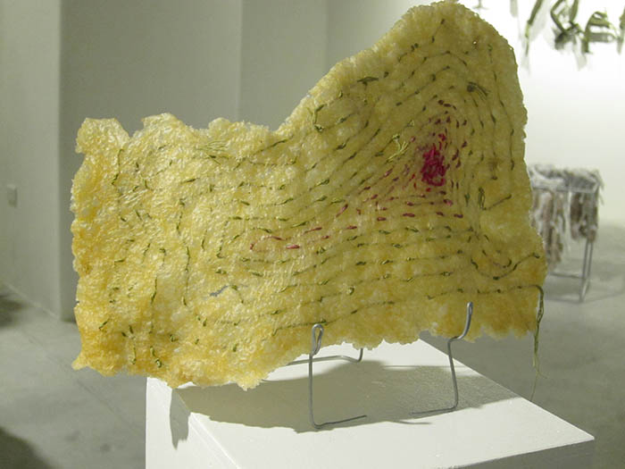 Conservation of Vitality-Lai Dieu Ha-ilza-08