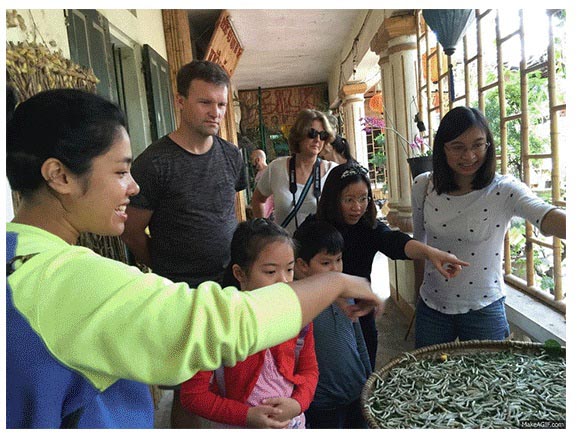 UNIS Community Programmes Spring Session 2016 4