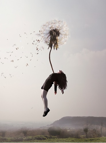 kvt-maia flore 4