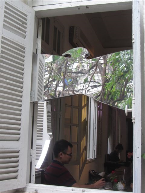 kvt-thai nhat minh manzi 3
