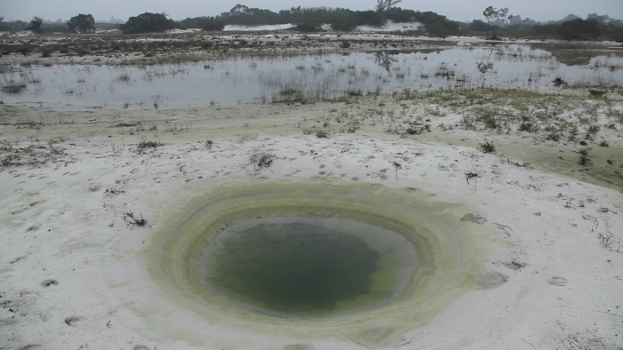Screenshot from "Letters from Panduranga". Image courtesy of Nguyen Trinh Thi