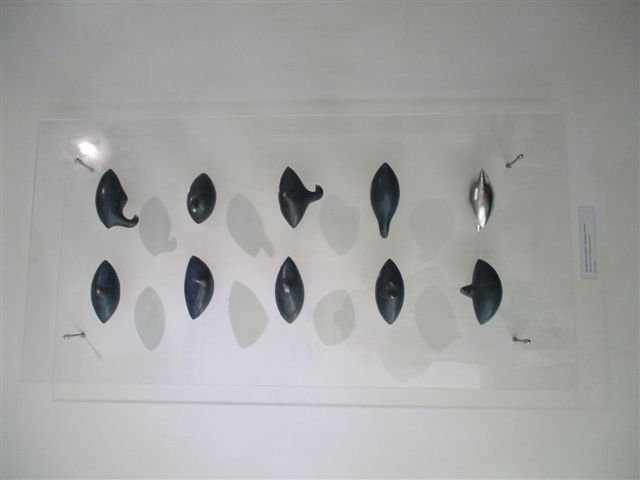 Seeds 004