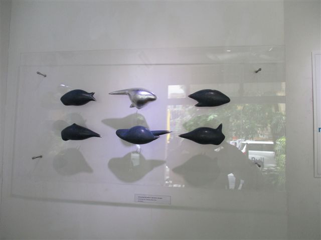 Seeds 007
