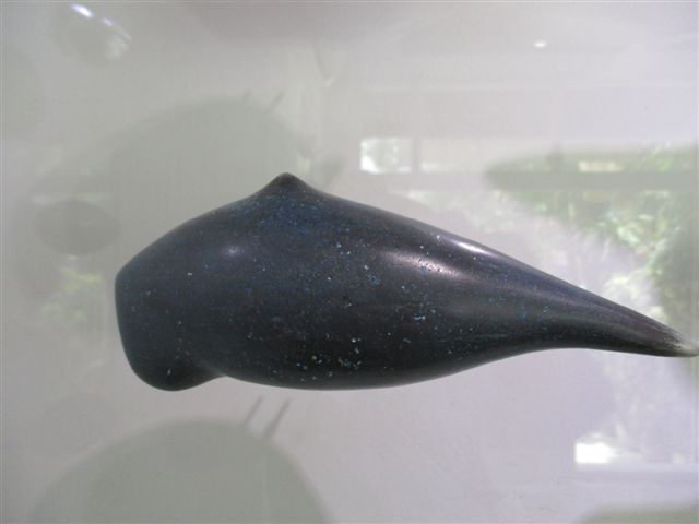 Seeds 018