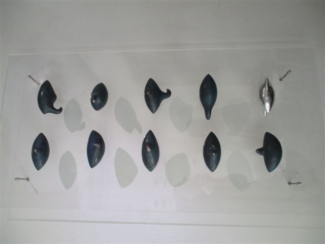 Seeds 020