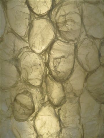L'Espace 026