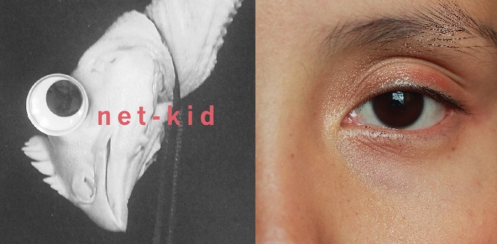 net-kid-show-at-manzi