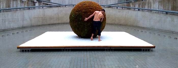 yotam-peled