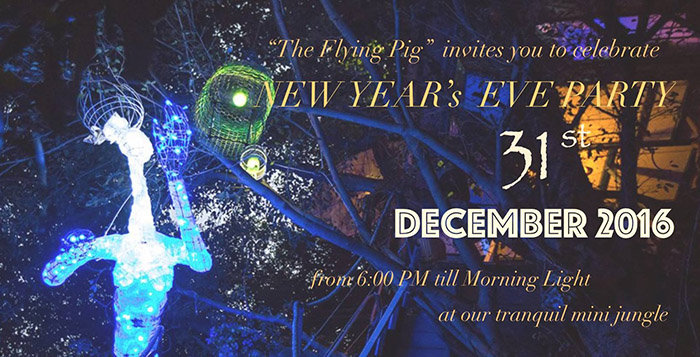 new-year-eve-extravaganza-party