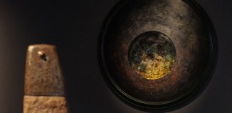 Nguyễn Trần Cường: Thiên nhiên là nhà – và khu vườn tâm tưởng của người nghệ sĩ